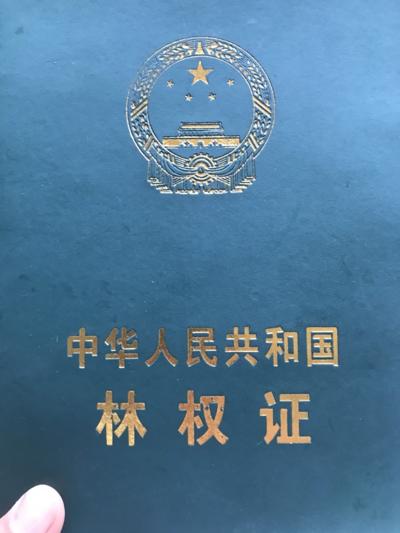 卖林地