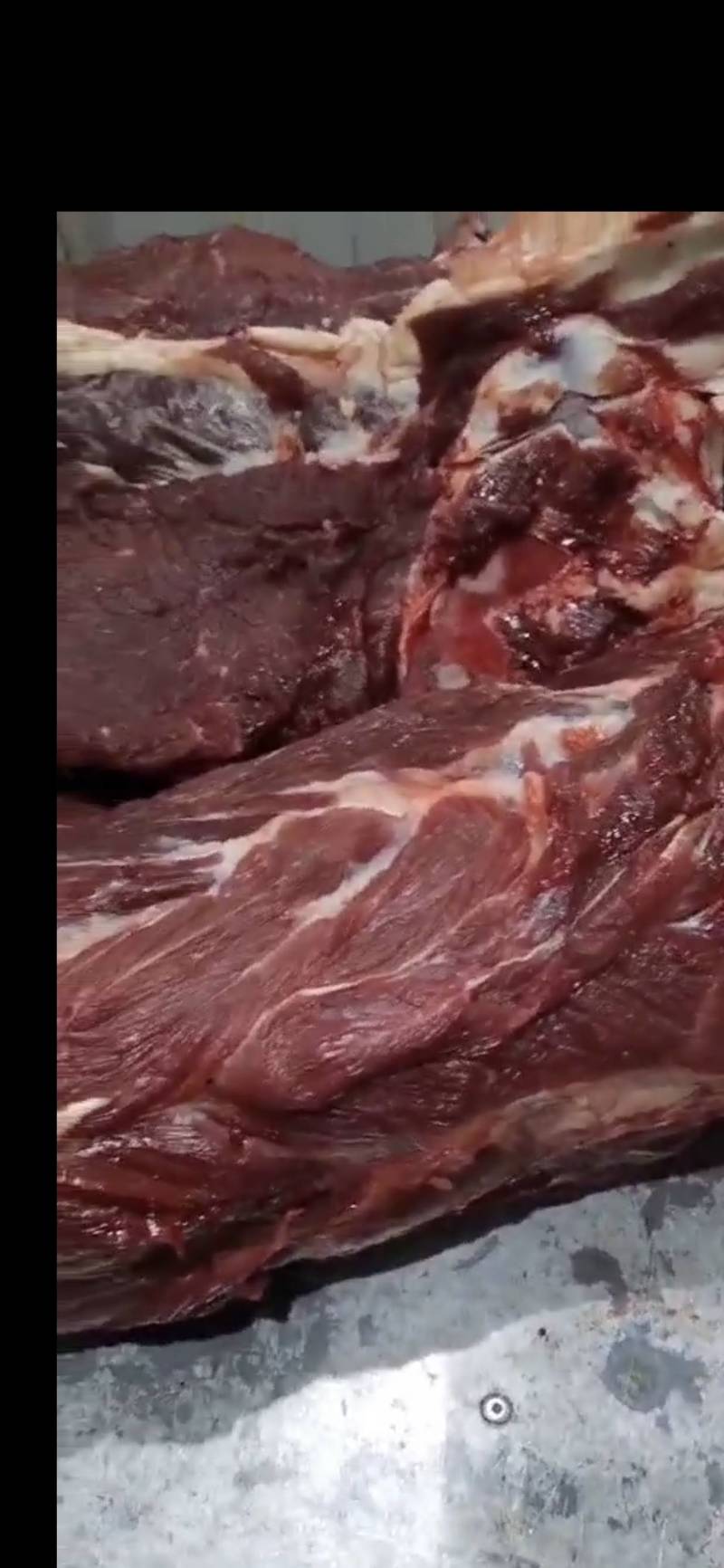 牛骨