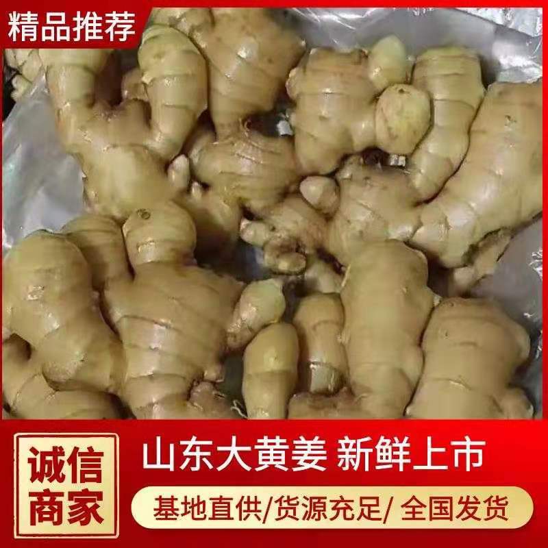 河南生姜【风干姜/沙土姜/水洗姜】保质保量～坏烂包赔