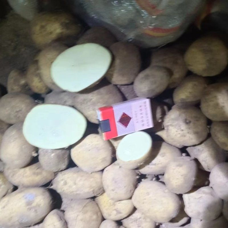 有100吨大西洋，2~8两的有需要的联系精品货大西洋