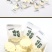 青海极域源头牦牛奶贝奶酪棒糖干吃牛奶片儿童零食品青藏特产