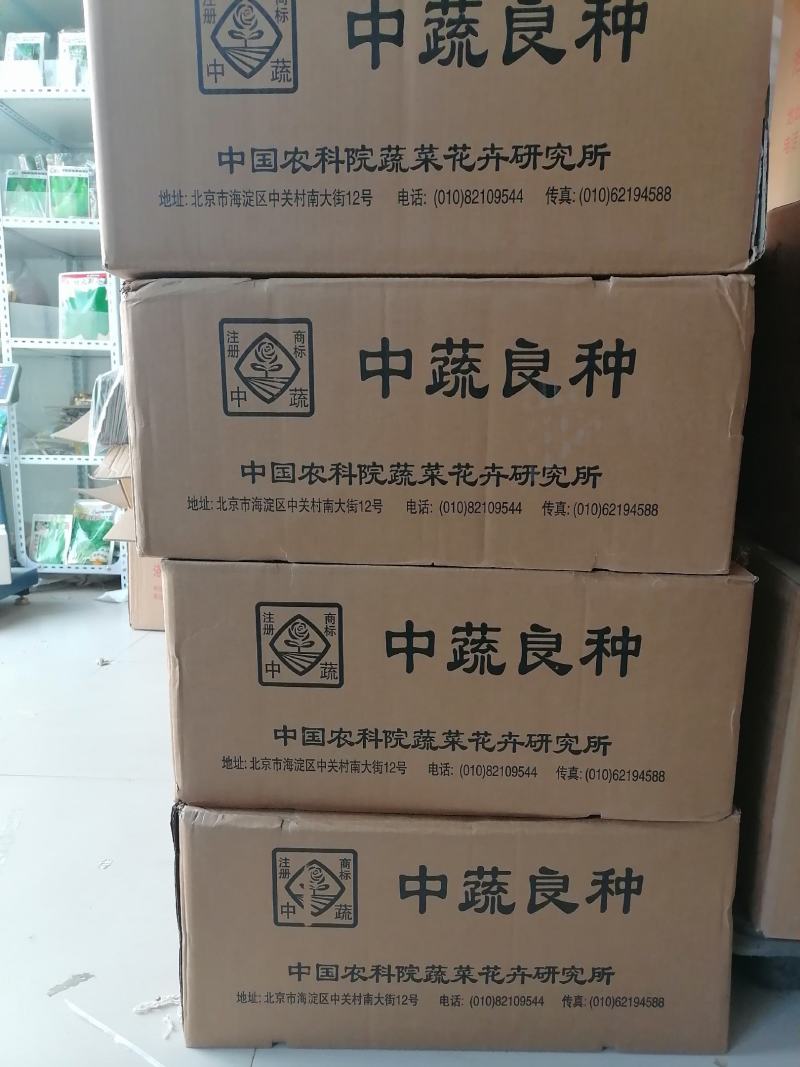 北京中蔬“一串铃4号”冬瓜早熟单瓜重1.5-2.5KG