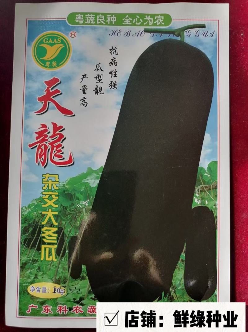 北京中蔬“一串铃4号”冬瓜早熟单瓜重1.5-2.5KG