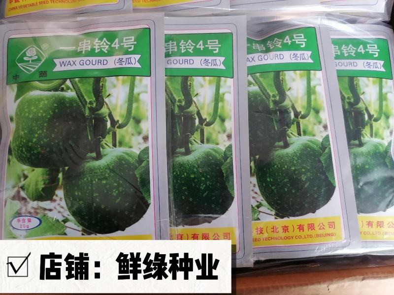北京中蔬“一串铃4号”冬瓜早熟单瓜重1.5-2.5KG