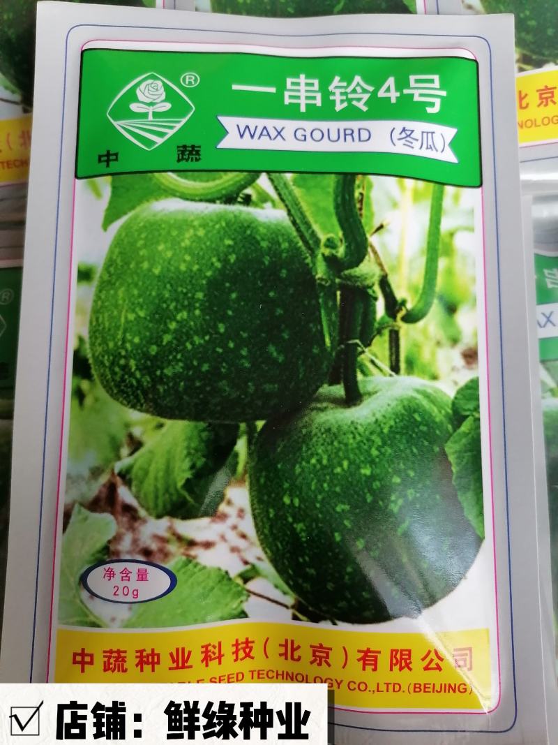 北京中蔬“一串铃4号”冬瓜早熟单瓜重1.5-2.5KG