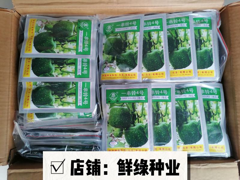北京中蔬“一串铃4号”冬瓜早熟单瓜重1.5-2.5KG