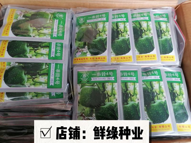北京中蔬“一串铃4号”冬瓜早熟单瓜重1.5-2.5KG