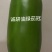 诚研麦茬茄王：青茄耐高温、抗病优、丰产佳