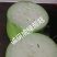 诚研麦茬茄王：青茄耐高温、抗病优、丰产佳