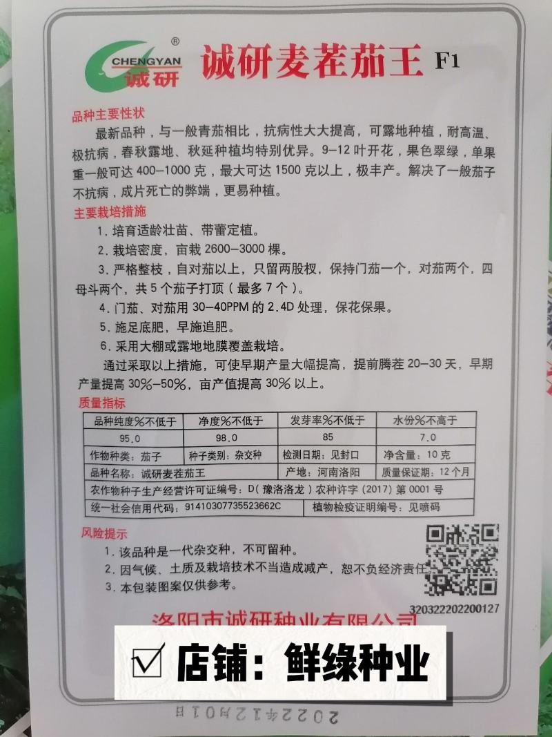 诚研麦茬茄王：青茄耐高温、抗病优、丰产佳