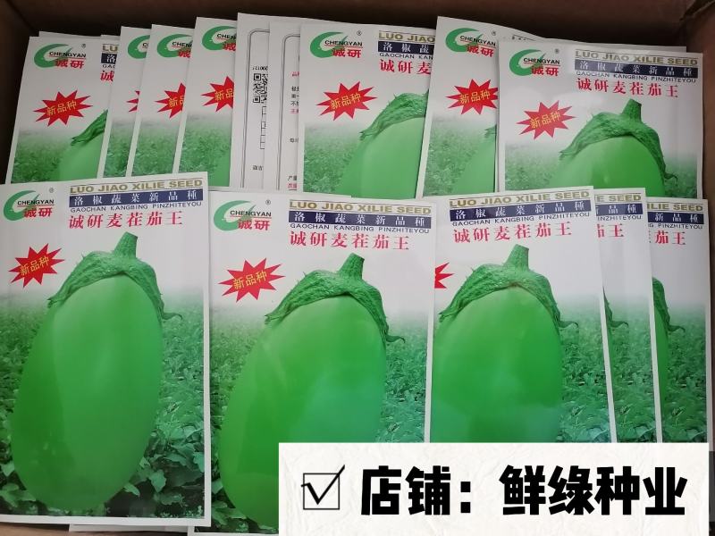 诚研麦茬茄王：青茄耐高温、抗病优、丰产佳