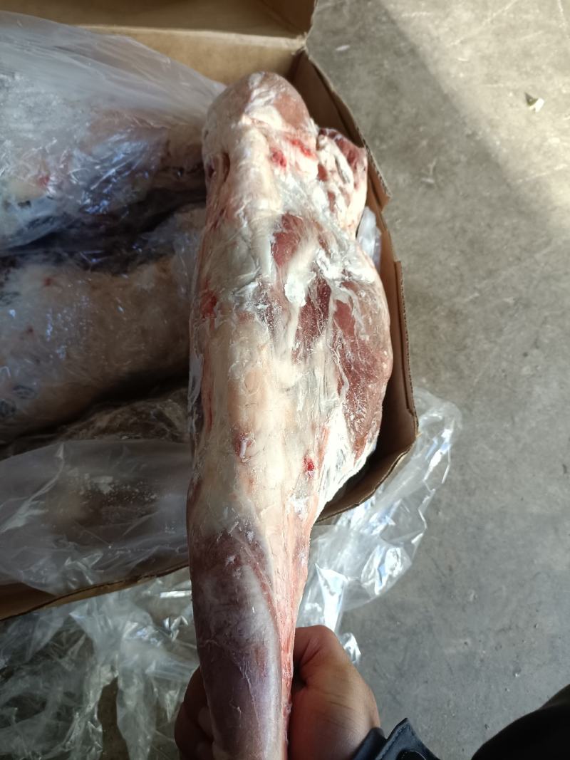 大羊后腿，有需要的欢迎随时咨询。。。。。。。