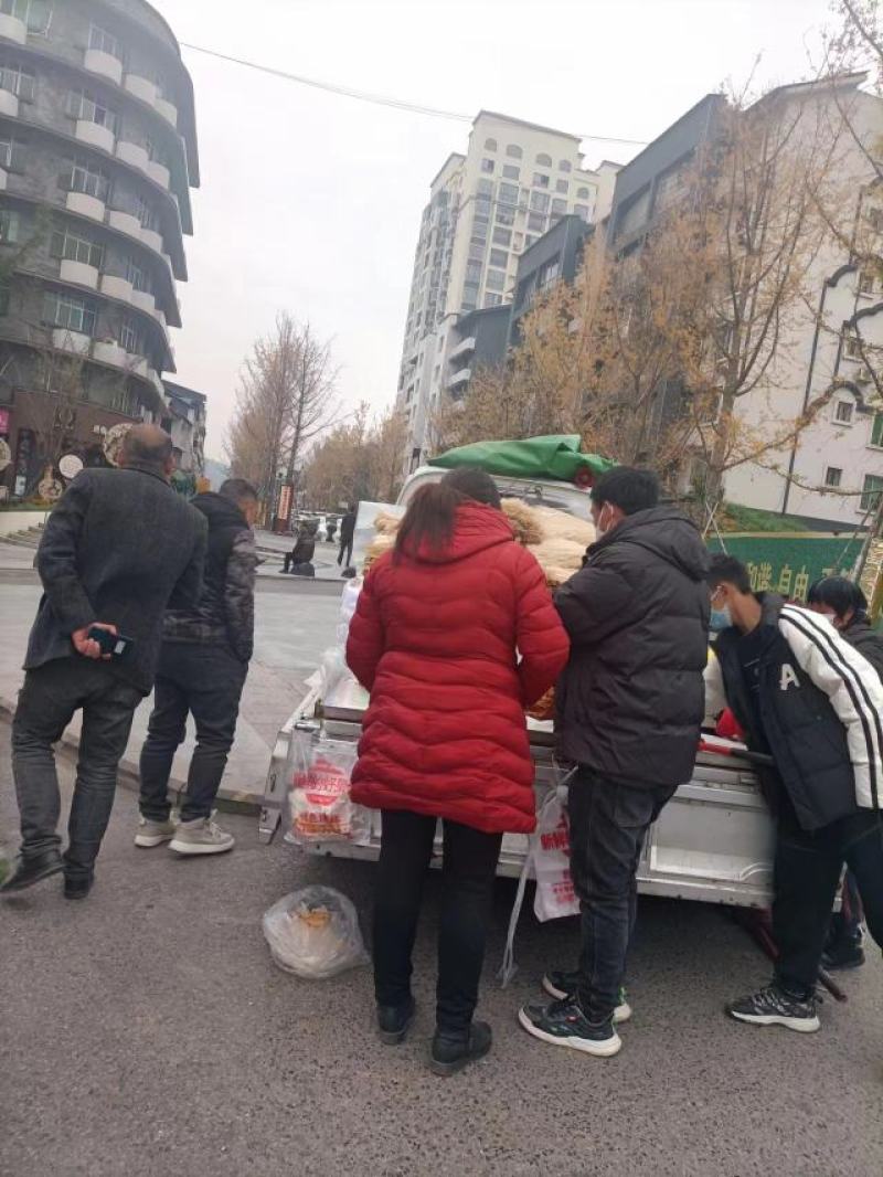 巴中甘蔗红糖