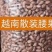 大腰果