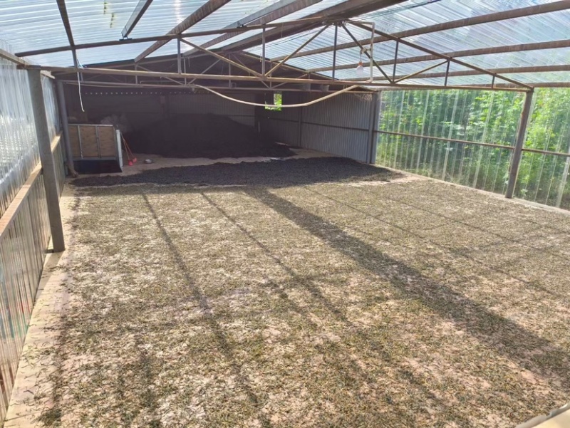 云南凤庆高端滇红蜜香型浓香型古树大金针小金针