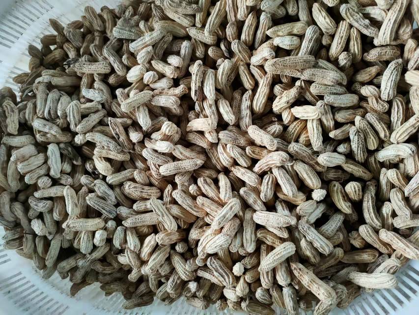 大豆食品与健康生活方式