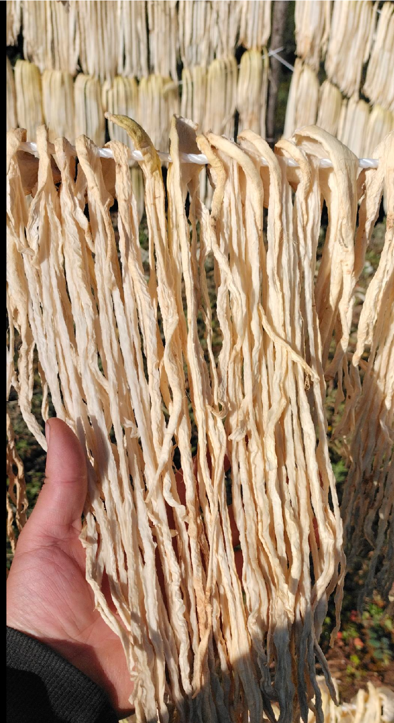 风干萝卜，云南萝卜条，萝卜干，酱菜原料，大根萝卜干萝卜条