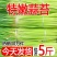 现摘蒜苔5斤装新鲜嫩蒜苔批发长蒜苔农家自种蒜苔现摘现发