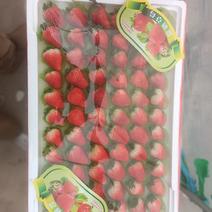 天仙酔草莓