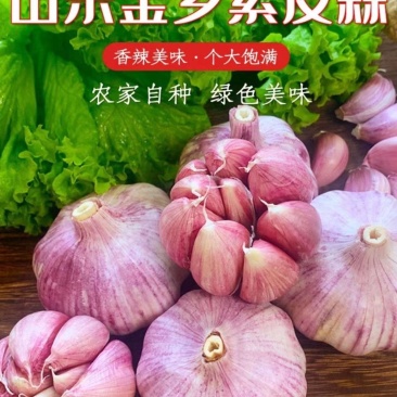 山东金乡新干蒜头紫白皮干蒜大蒜头产地批发10斤装多省包邮