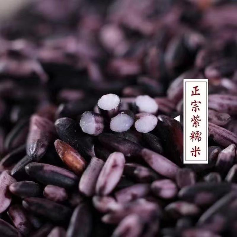 云南墨江梯田紫米，大量上市，支持一件代发！