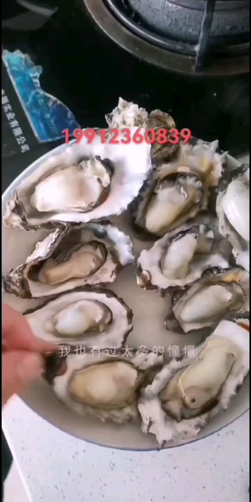 精品生蚝精品小包装，承接2.5斤3斤3.5斤各种包装，