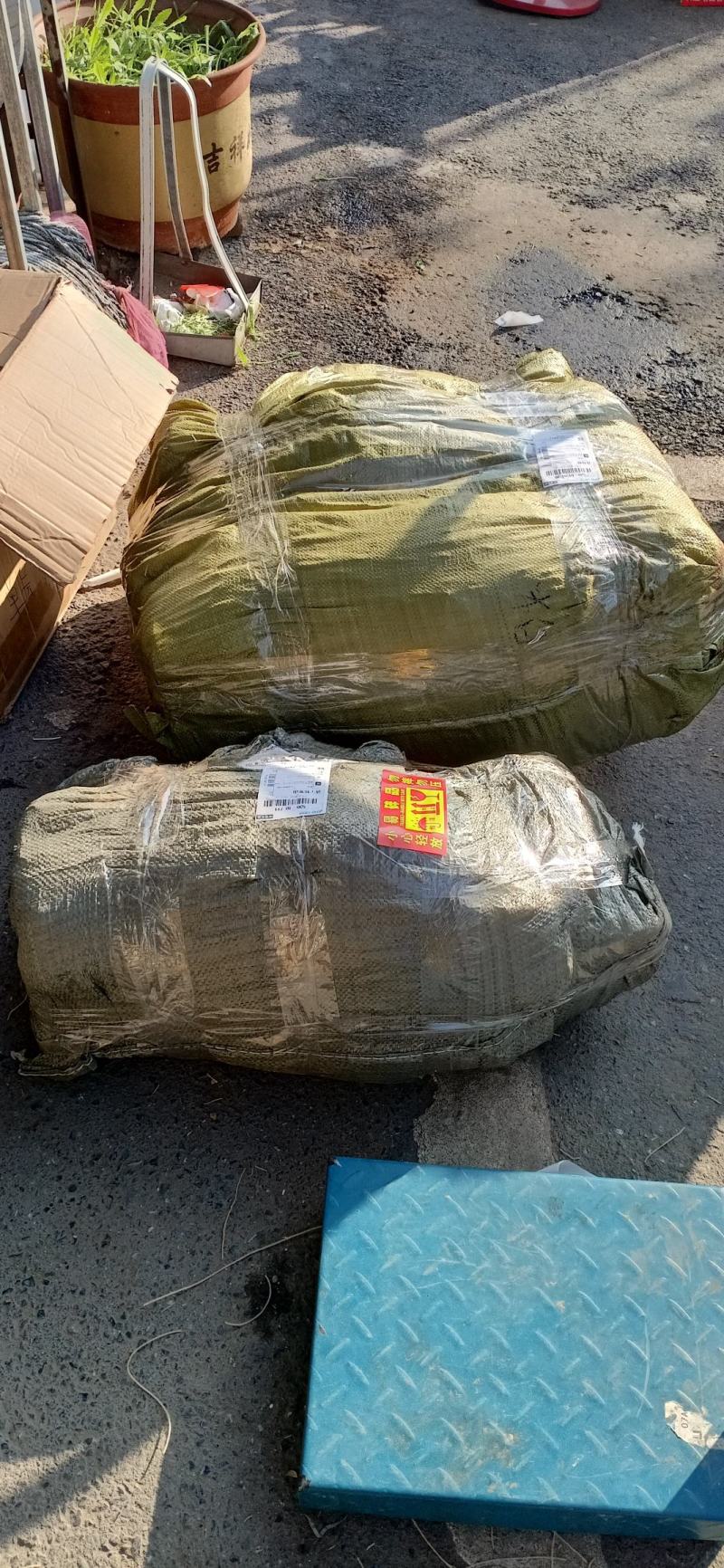 阜阳农家纯手工红薯粉丝，0添加，无污染，现代人健康的选择