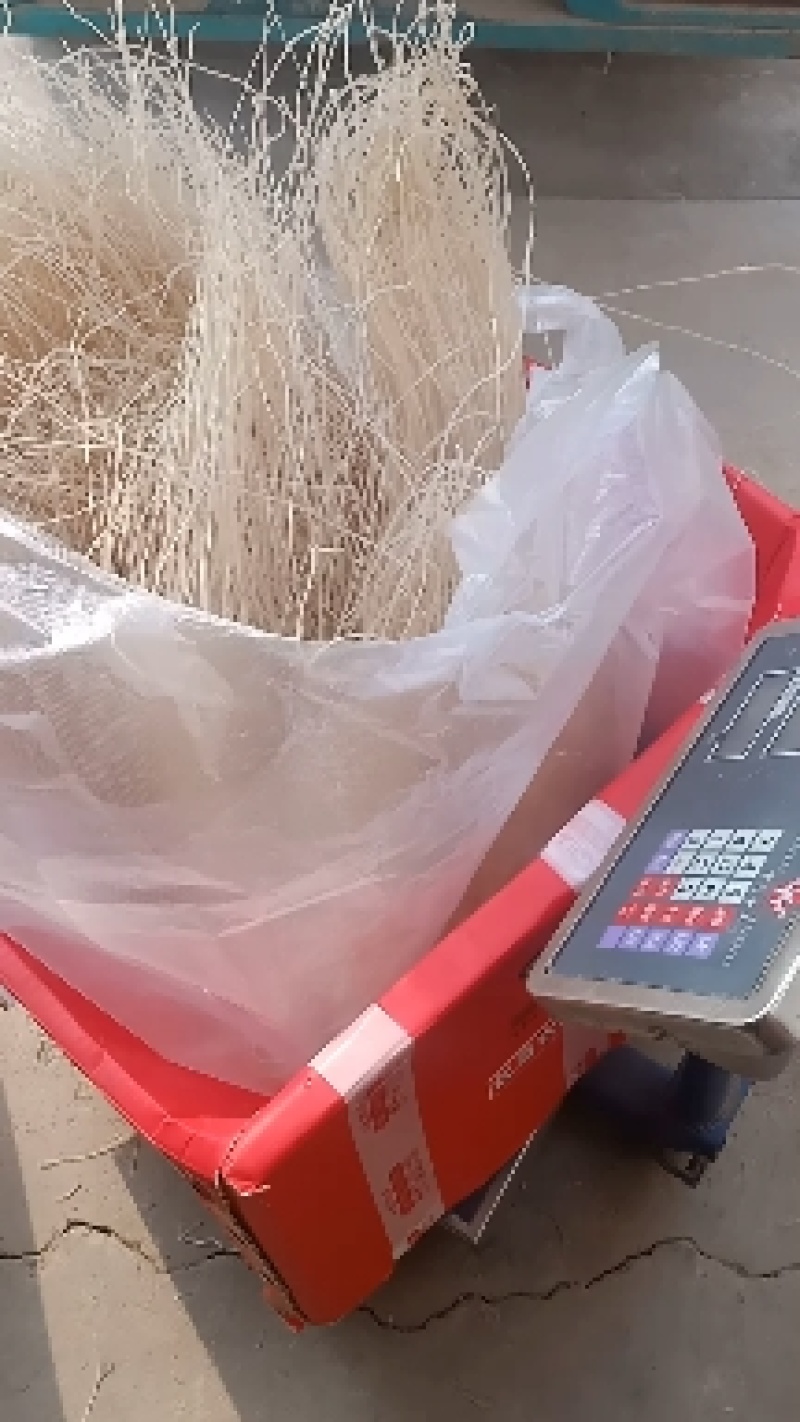 阜阳农家纯手工红薯粉丝，0添加，无污染，现代人健康的选择