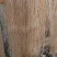 阜阳农家纯手工红薯粉丝，0添加，无污染，现代人健康的选择