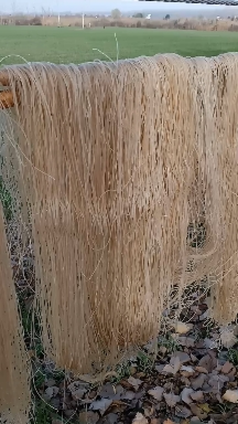 阜阳农家纯手工红薯粉丝，0添加，无污染，现代人健康的选择