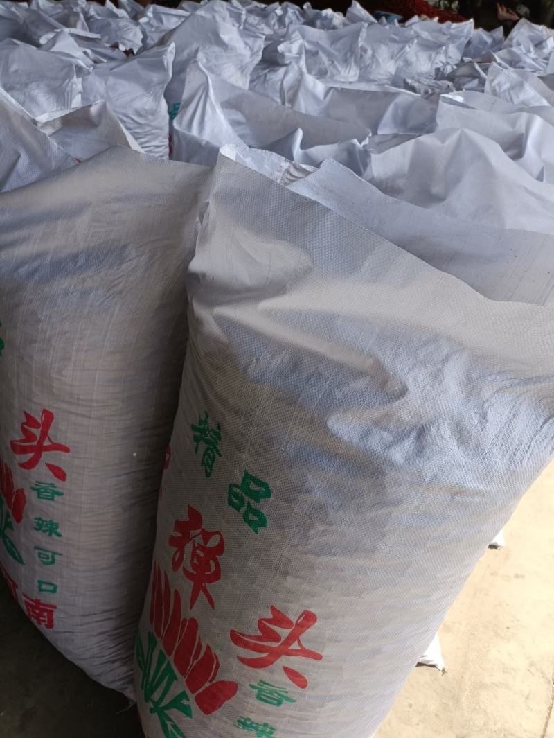 河南辣椒产地三樱椒大量有货长期供应支持全国发货
