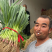 红根蒜苗优质蒜苗大量供应货源充足春节前后货源不断