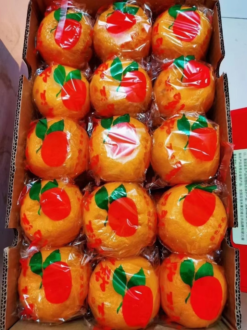 🍊椪柑清江芦柑湖北椪柑个大味甜产地直发
