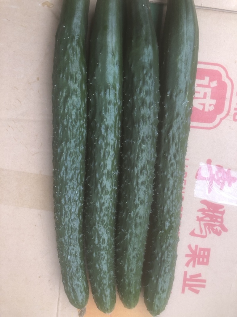 黄瓜西红柿