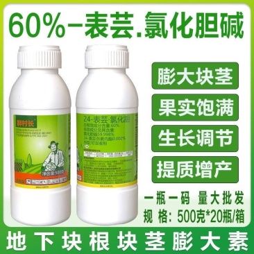 汤普森~胖村长24-表芸.氯化胆花生调节生长植物生长调节