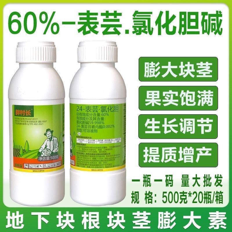 汤普森~胖村长24-表芸.氯化胆花生调节生长植物生长调节