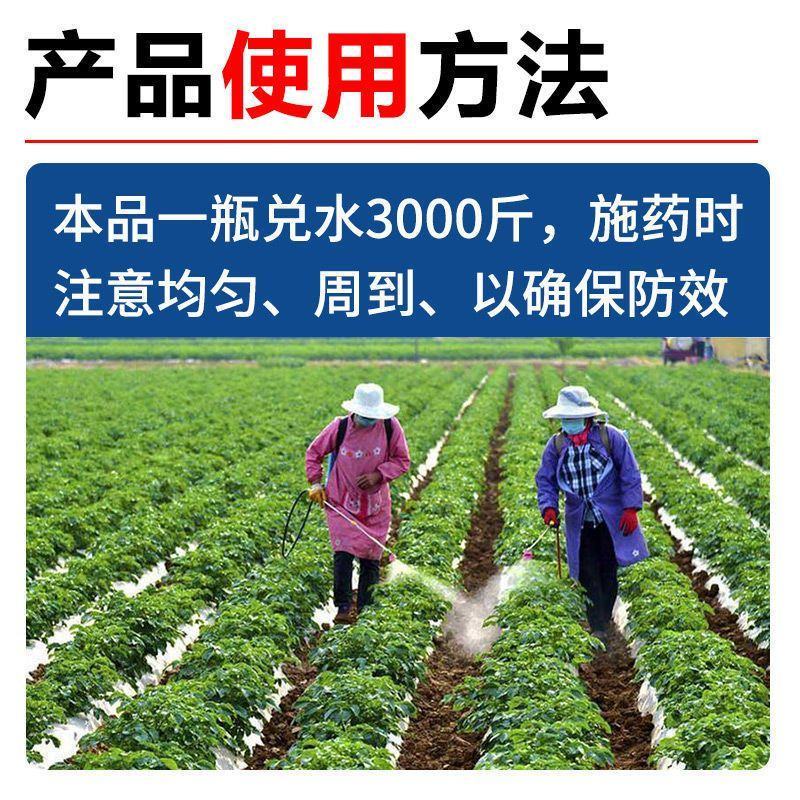 汤普森~胖村长24-表芸.氯化胆花生调节生长植物生长调节