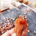 【流心柿饼】山东吊霜柿饼红饼当年新饼大量上市开售价格优势