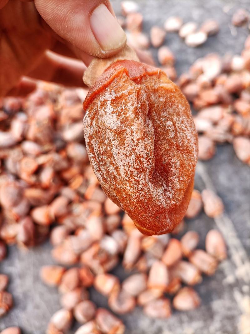 【流心柿饼】山东吊霜柿饼红饼当年新饼大量上市开售价格优势