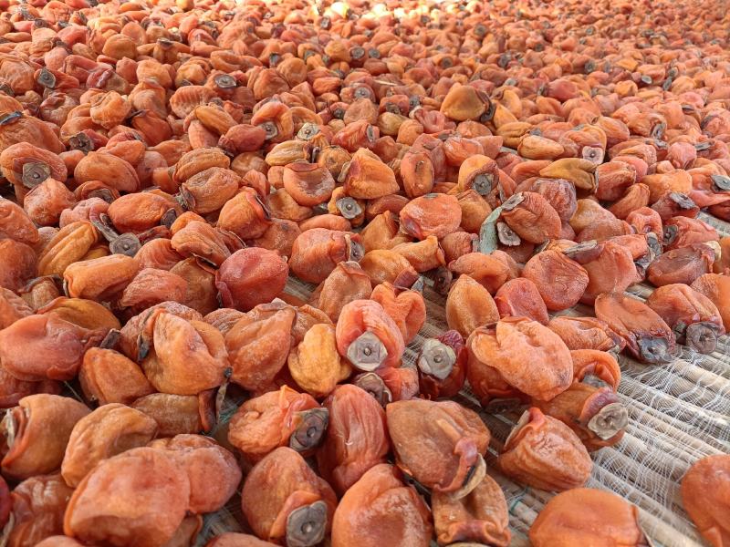 【流心柿饼】山东吊霜柿饼红饼当年新饼大量上市开售价格优势