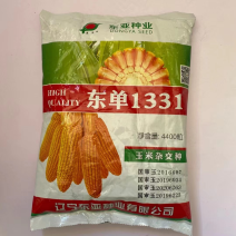 东单1331饲料玉米种子国审品种
