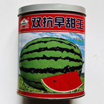 双抗早甜王西瓜种子品种杂交品种大红瓤花皮少籽品种种子