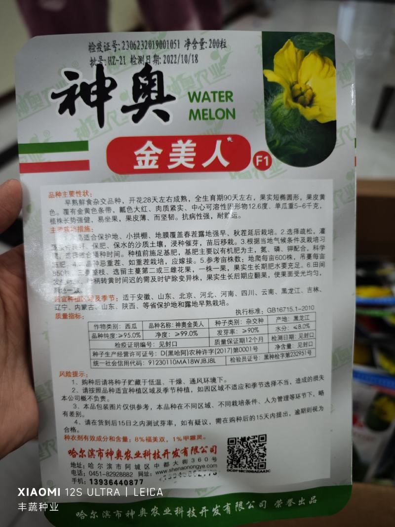 神奥金美人西瓜种子