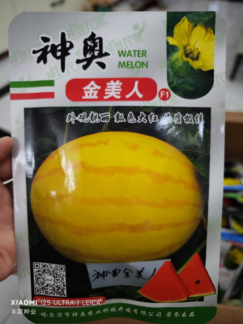 神奥金美人西瓜种子