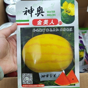 神奥金美人西瓜种子