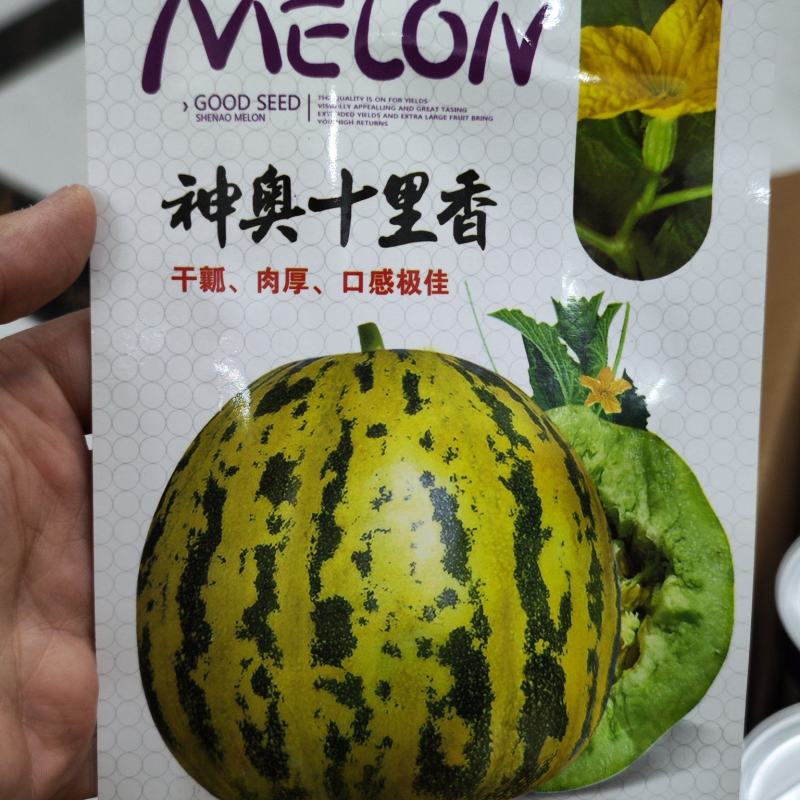 神奥十里香甜瓜种子，300粒，干瓤肉厚甜度26