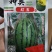 神奥早春红玉西瓜种子，200粒，瓤色大红，糖度14