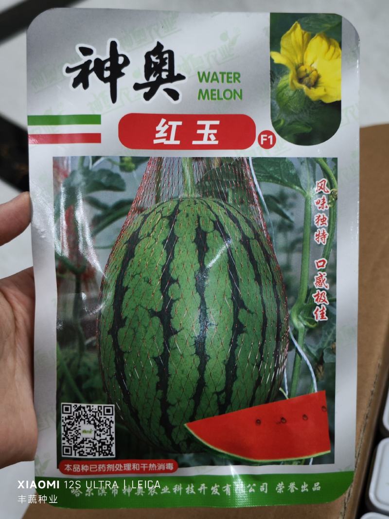 神奥早春红玉西瓜种子，200粒，瓤色大红，糖度14