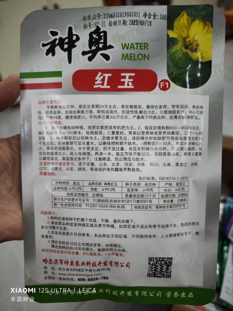 神奥早春红玉西瓜种子，200粒，瓤色大红，糖度14