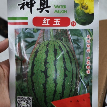 神奥早春红玉西瓜种子，200粒，瓤色大红，糖度14